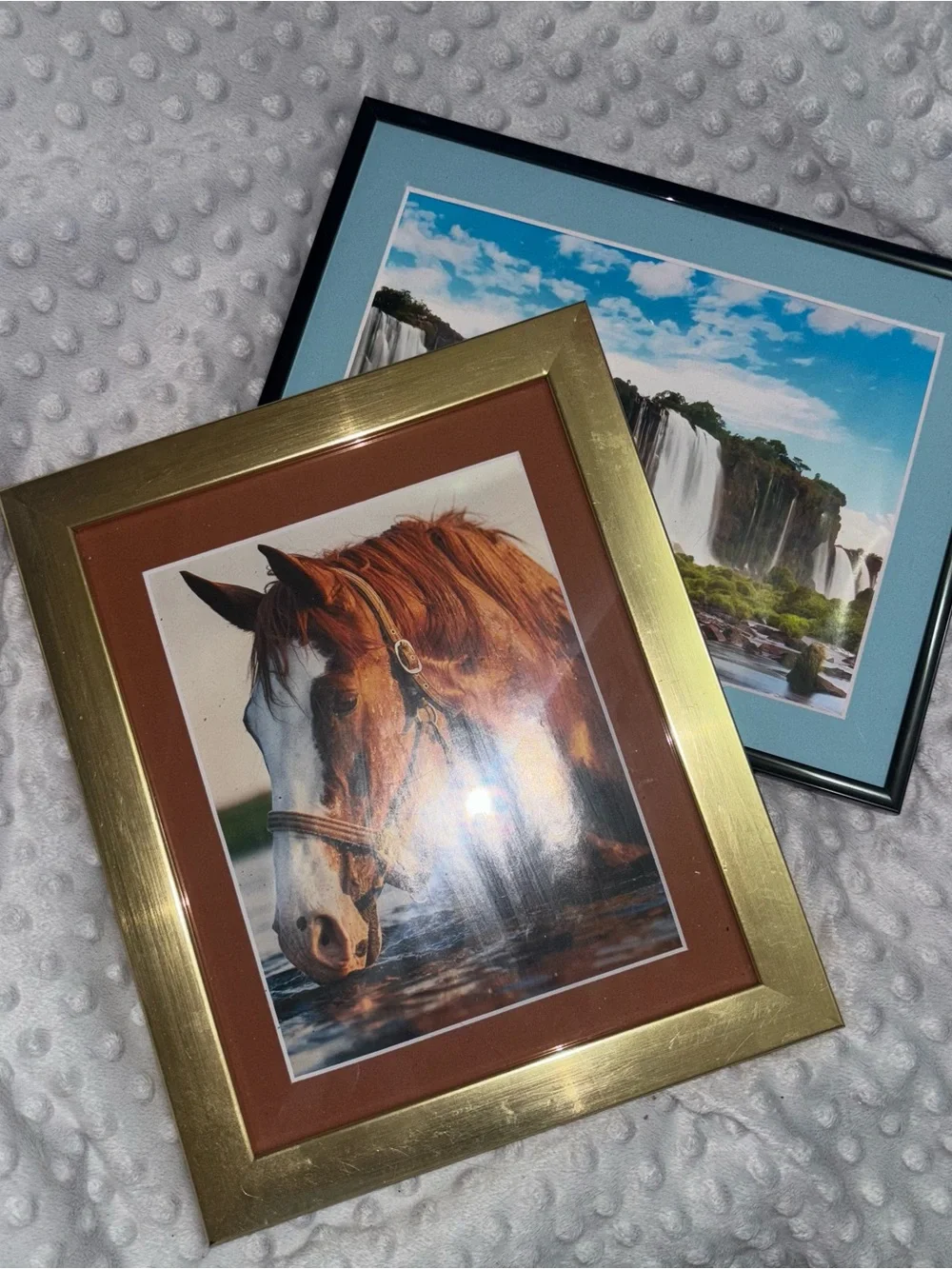 2 Framed photos - Horse and Waterfall